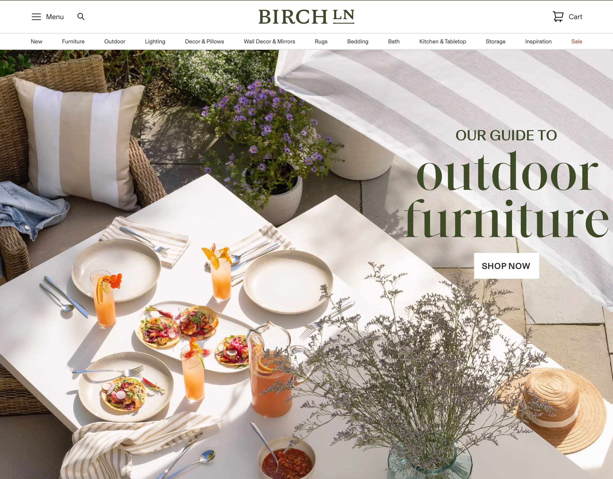 Birch Lane website