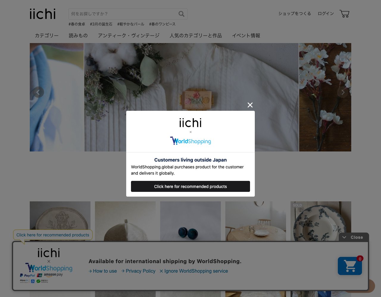 iichi website, captured for Catalog's review