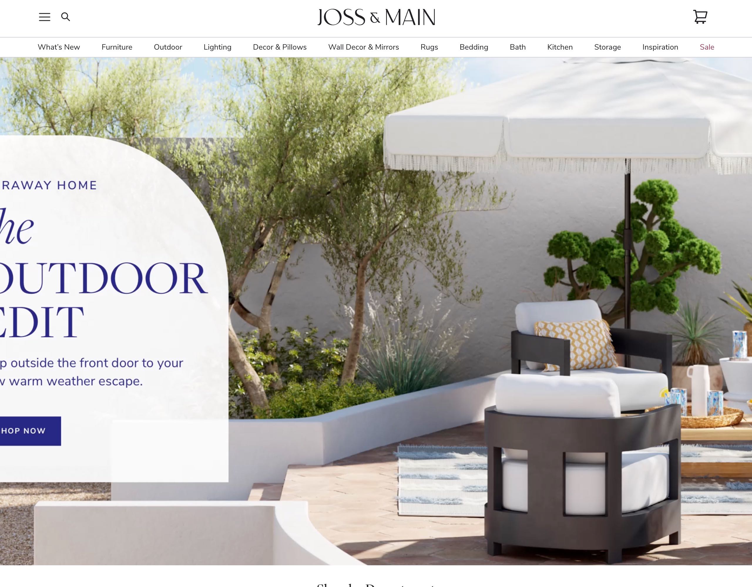Joss & Main website